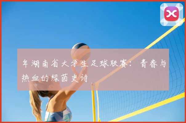 年湖南省大学生足球联赛：青春与热血的绿茵史诗