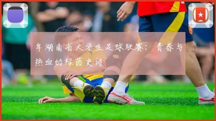年湖南省大学生足球联赛：青春与热血的绿茵史诗